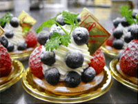 �V���e�����m�َq�X