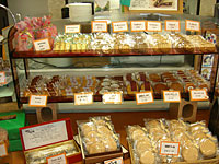 �V���e�����m�َq�X