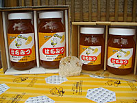 ����{�I��