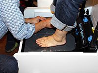 �C�݂̂₴��