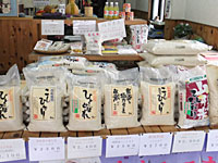 �o�t�����X