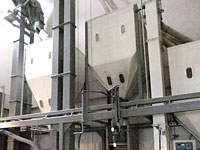 �o�t�����X