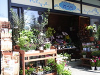 �t�����[�V���b�v �키��