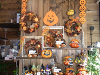 �t�����[�V���b�v �키��