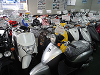 �ۈ��X�|�[�c�T�C�N��