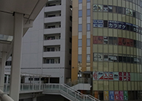 �J���I�P�@�r�[�`�E�p���_�C�X