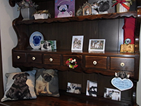 �y�b�g�V���b�v�@�V�[�T�C�h�@�v�[���[