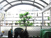 �ۈ玺����ӂ���